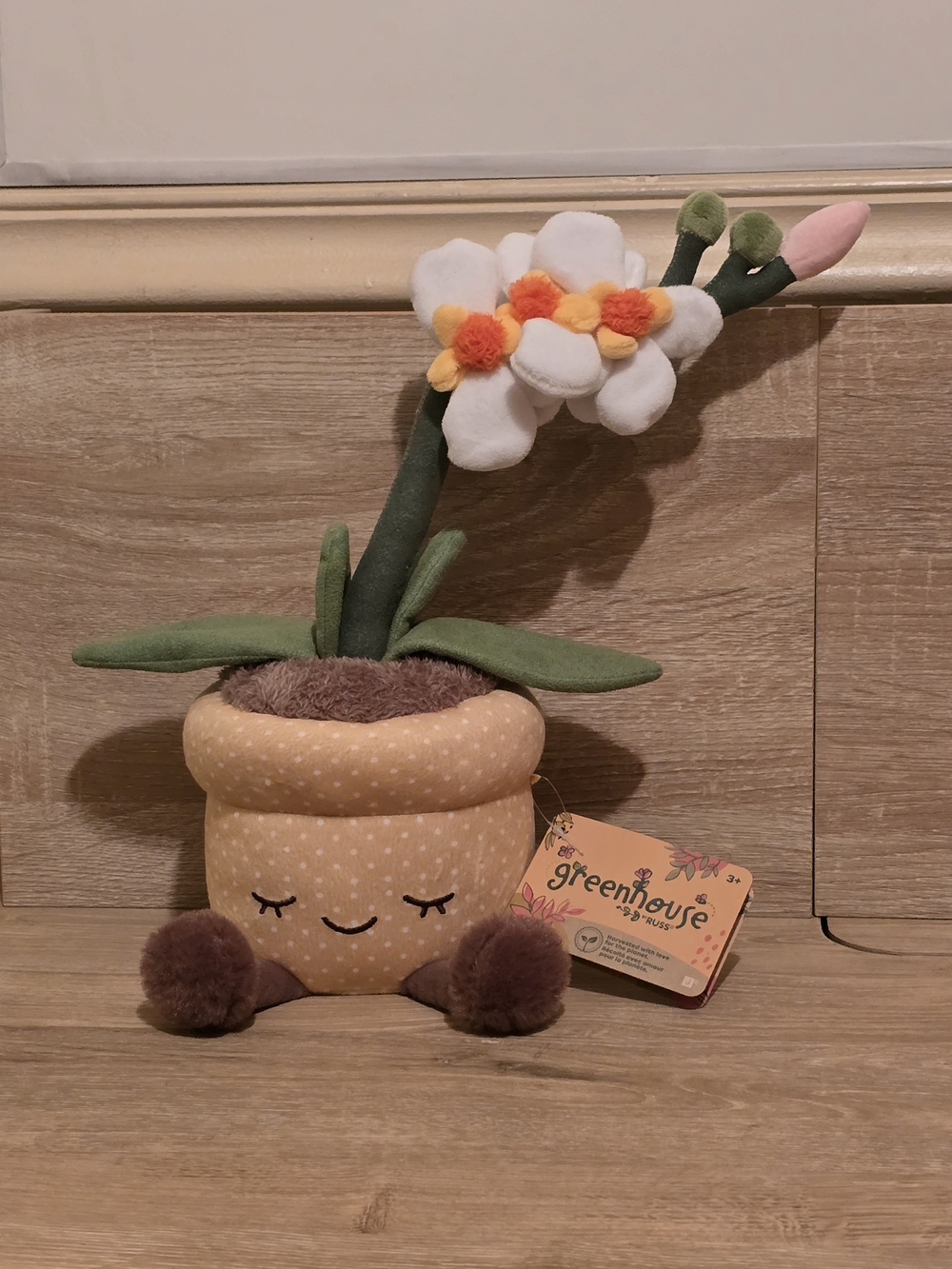 Greenhouse by Russ 12” Orchid Plant Plush